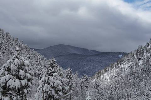 Go Snowshoeing Through An Enchanted Forest This Winter In New Mexico