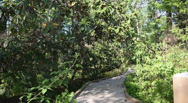 Explore 5 Miles Of Trails Through An Enchanting Botanic Garden Near New Orleans