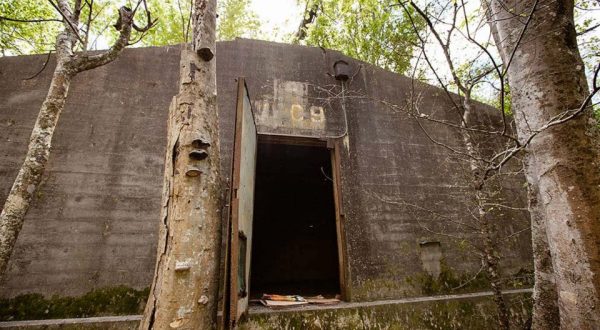 The Mysterious Hidden Gem Attraction Near New Orleans You Never Even Knew Existed