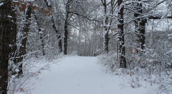 This Wisconsin Winter Wonderland Has More Than 60 Miles of Snowy Trails To Explore