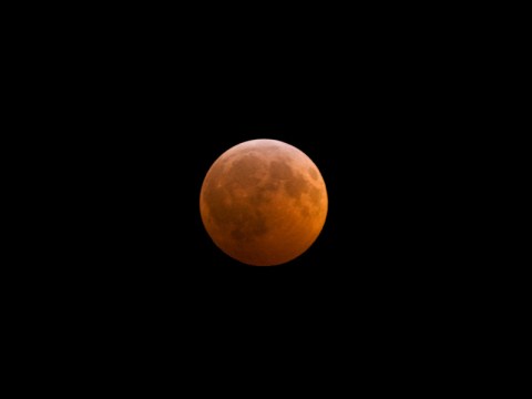 The Next Lunar Eclipse Will Be Visible From Florida And You Won't Want To Miss Out