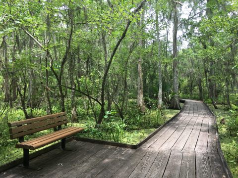 This Park Near New Orleans Has Endless Boardwalks And You'll Want To Explore Them All