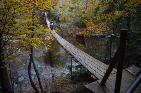 This Swinging Bridge Trail In Tennessee Offers The Perfect Amount Of Adventure