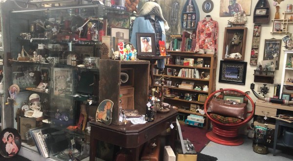 This Oddity Shop Might Just Be The Most Macabre Spot In All Of Michigan