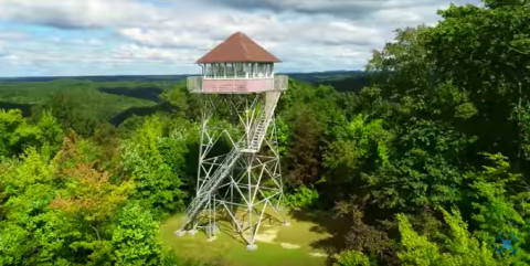 Hike To This Scenic Fire Tower For Some Of The Most Unforgettable Views In Kentucky