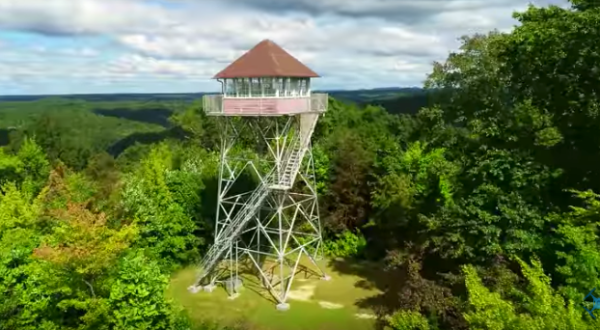 Hike To This Scenic Fire Tower For Some Of The Most Unforgettable Views In Kentucky