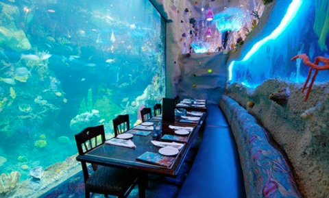 The Unique Downtown Aquarium Restaurant In Colorado Is Fun For The Whole Family