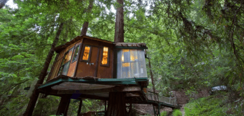This Treehouse Accommodation In The Redwood Forest Is The Definition Of A Dreamy Getaway