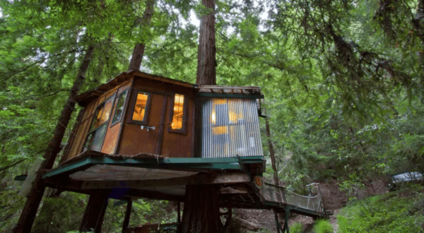 This Treehouse Accommodation In The Redwood Forest Is The Definition Of A Dreamy Getaway