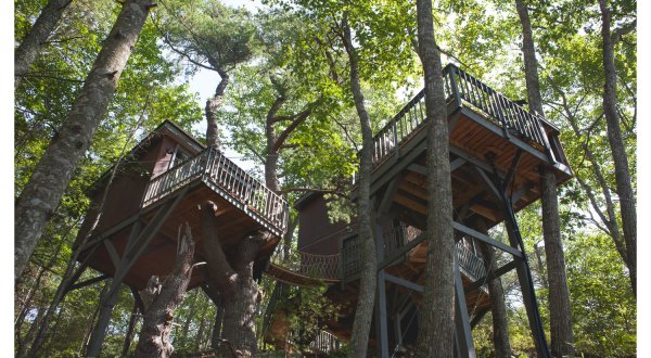Spend Your Days Amidst The Pines In This One-Of-A-Kind Maine Tree Dwelling Village