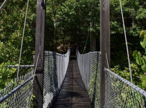 This Dramatic Bridge Hike In Vermont Will Leave You Weak In The Knees