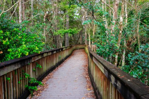This Florida Park Has Endless Boardwalks And You'll Want To Explore Them All