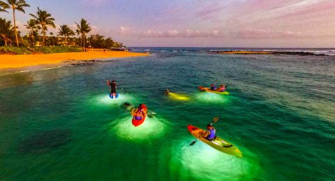 Take These Glass-Bottom Kayaks Out In Hawaii For An Adventure Unlike Any Other