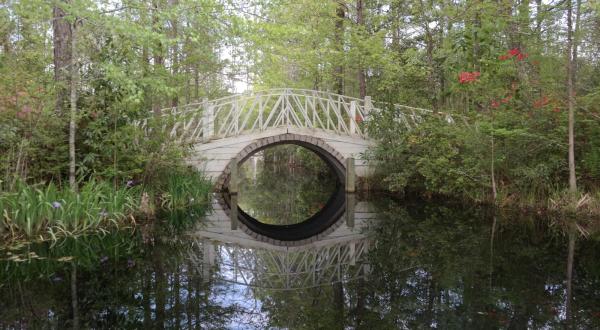 This Beloved Garden In South Carolina Is Re-Opening Soon And We Couldn’t Be Happier