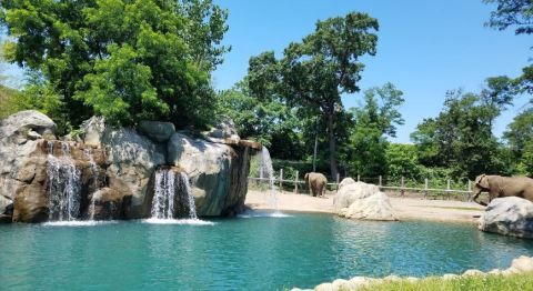 This Zoo In Rhode Island Has Animals That You May Have Never Seen In Person Before