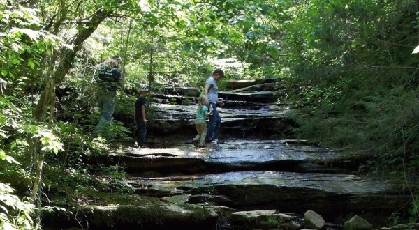 Hike In This Experimental Forest In Arkansas For An Adventure Like No Other