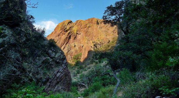 7 Beautiful And Scenic Trails In New Mexico That Are Perfect For Beginners