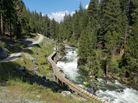 This Easy Northern California Rail Trail Takes You Through A Woodland Paradise
