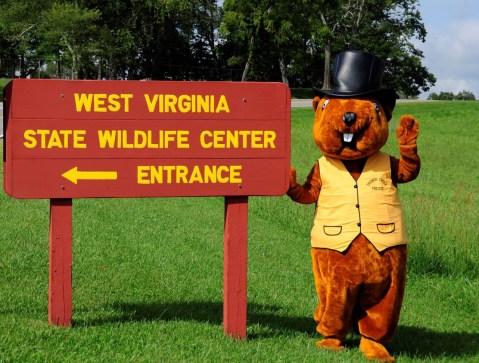 This Can't-Miss West Virginia Groundhog Day Festival Will Make Your Season Complete