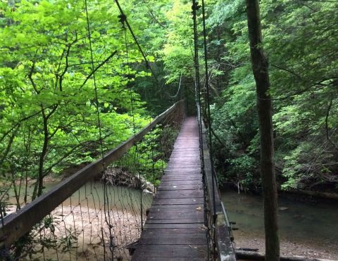 5 Swinging Bridge Trails In Kentucky That Offer The Perfect Amount Of Adventure