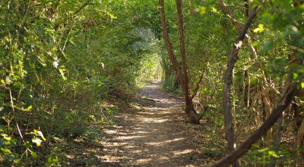 This Stunning Riverside Trail In Austin Is A True Hidden Gem