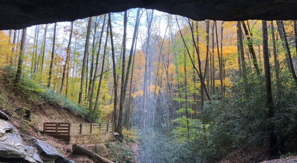 Your Kids Will Love This Easy 1-Mile Waterfall Hike Right Here In North Carolina
