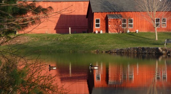The 8 Best Nature Centers In Connecticut That Make The Perfect Day Trip Destination