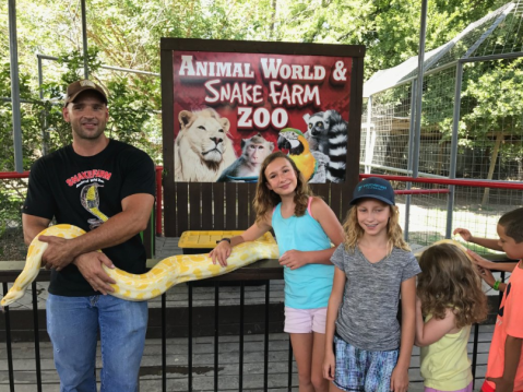 You'll Never Forget A Visit To This One-Of-A-Kind Snake Farm In Texas