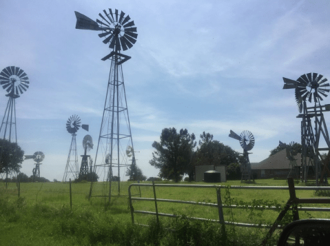 This Charming Texas Bed & Breakfast Is Surrounded By More Than 40 Windmills