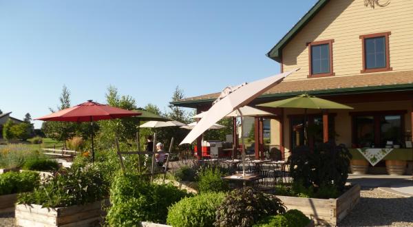We Found The Top 10 Winery Restaurants In Washington, And They’re Fantastic