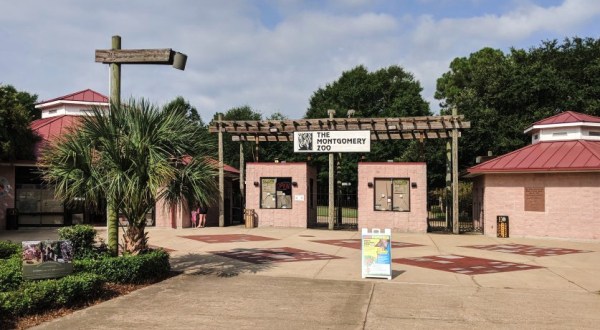 This Zoo In Alabama Has Animals That You May Have Never Seen In Person Before