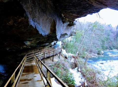 This Cliffhanging Boardwalk Trail in West Virginia Will Make Your Stomach Drop