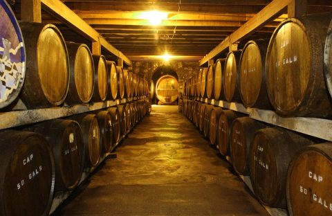 The Underground Wine Cave In Arkansas You Have To Visit