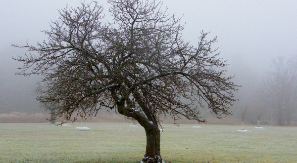 The Nearly Snowless Wisconsin Winter That Took Everyone By Surprise In 1968