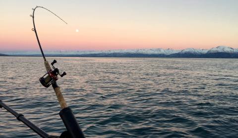 The Fun Alaskan Winter Tournament That's Worthy Of A Pilgrimage