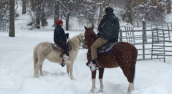 Experience Winter Magic On This One-Hour Horseback Ride Through The Rhode Island Woods