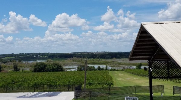Visit Florida’s Largest Winery, Producing Close To 200,000 Gallons Of Wine & Champagne Every Year