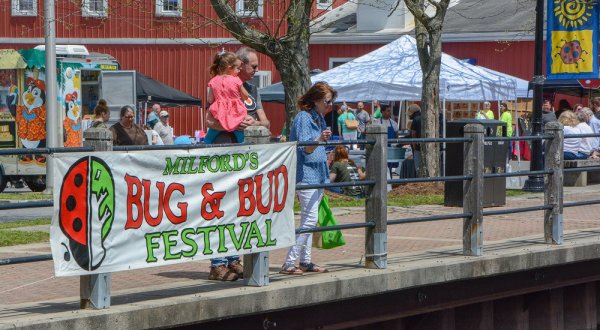Delaware’s Adorable Bug and Bud Festival Is The Best Way To Welcome Spring
