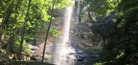 The South Carolina Hike That Leads To The Most Unforgettable Destination