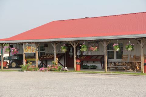 The Homemade Goods From This Amish Store In Kentucky Are Worth The Drive To Get Them