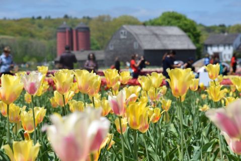 The 10 Places You Absolutely Must Visit In Rhode Island This Spring