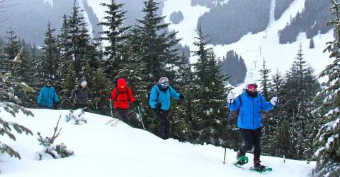 The Snowshoe Tour In Washington You'll Want To Take Before Spring