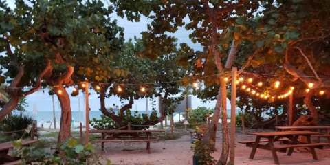A Restaurant Tucked Inside Florida’s Hugh Taylor Birch State Park, Park And Ocean Is A Lovely Place To Dine