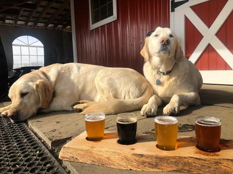 New Jersey’s First Farm Brewery Is Unexpectedly Awesome