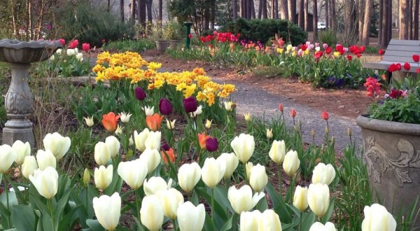 This Little Known Park In Louisiana Comes Alive Every Spring