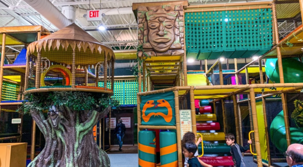 The Jungle-Themed Indoor Playground Near Detroit That’s Insanely Fun