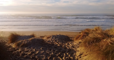 The Underrated Sandy Beach In Oregon You Absolutely Need To Visit