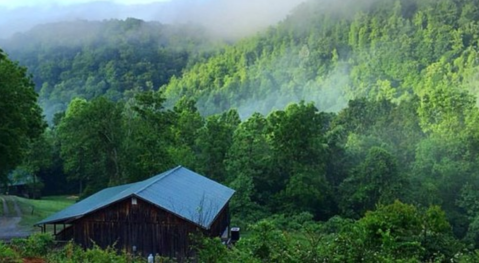 This Cozy Cabin In The Virginia Woods Will Take You Off The Grid In The Best Way
