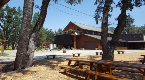 Spend The Day Tasting And Touring At This Charming Apple Orchard In Northern California