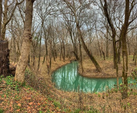 There's An Emerald Spring Hiding In Kentucky That's Too Beautiful For Words